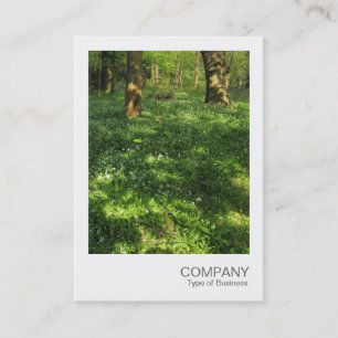 Carte De Visite Photo instantanée 073 - Printemps dans les bois