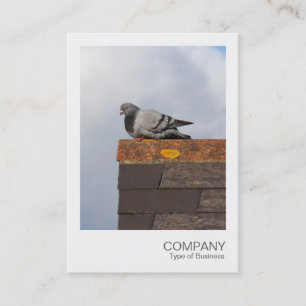 Carte De Visite Photo Instantanée 082 - Bonjour Pigeon