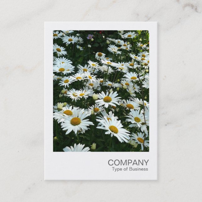 Carte De Visite Photo instantanée 09 - Shasta Daisy (Devant)