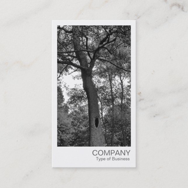 Carte De Visite Photo instantanée - Arbre mystérieux (Devant)