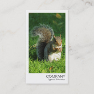 Carte De Visite Photo instantanée - Écureuil gris mange des noix
