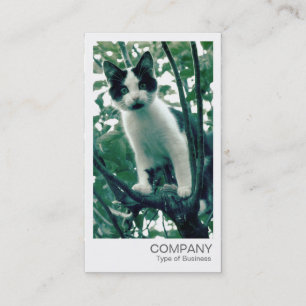 Carte De Visite Photo instantanée - Kitten dans un arbre Apple