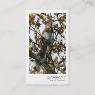 Carte De Visite Photo instantanée - L'écureuil dans un arbre
