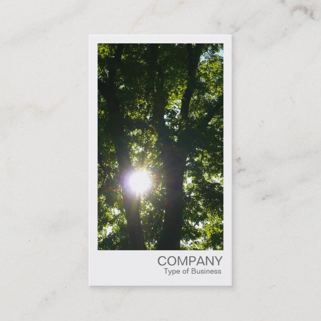 Carte De Visite Photo instantanée - Soleil à travers les arbres (Devant)