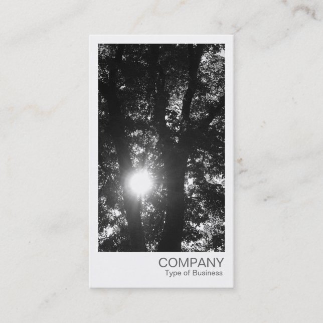 Carte De Visite Photo instantanée - Soleil à travers les arbres BW (Devant)