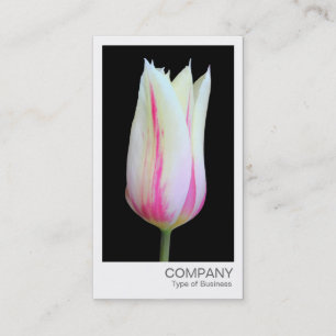 Carte De Visite Photo instantanée - Tulip