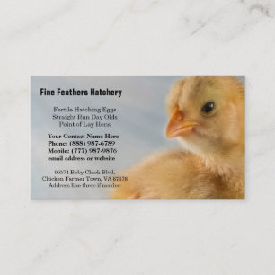 Carte De Visite Photo jaune adorable mignonne de poussin de bébé