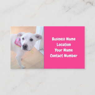 Carte De Visite Photo mignonne blanc chiot visage rose