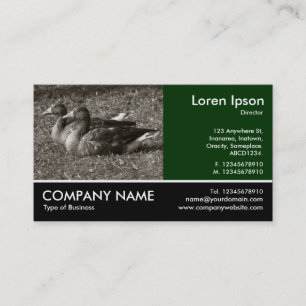 Carte De Visite Photo Pied - Oies grises (Sepia)