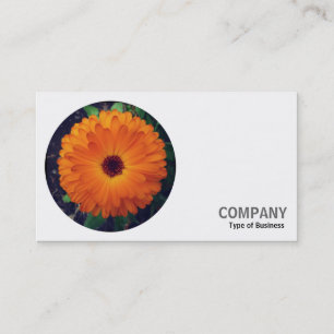 Carte De Visite Photo ronde - English Marigold