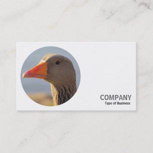 Carte De Visite Photo ronde - Oie de Greylag