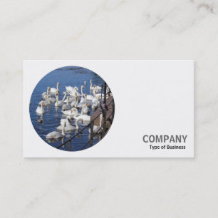 Carte De Visite Photo ronde - Swans