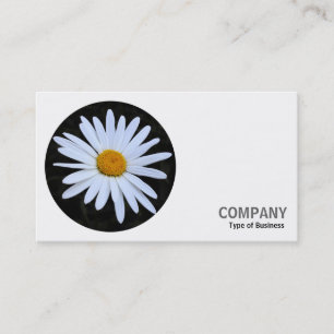Carte De Visite Photo ronde - White Daisy 02