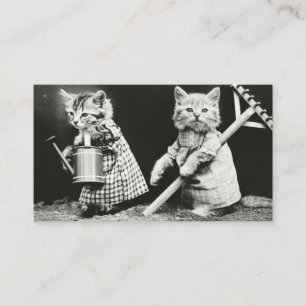 Carte De Visite Photo Vintage habillée de chat