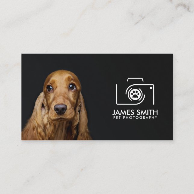 Carte De Visite Photographe animal - Photographie animale (Devant)