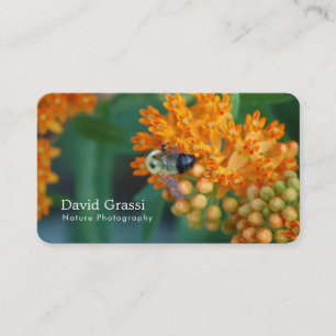 Carte De Visite Photographe de Bumblebee (Nature)