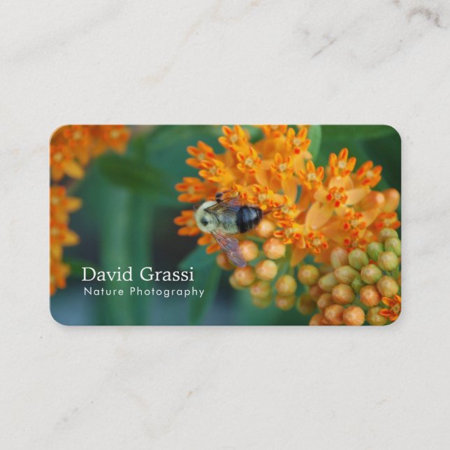 Carte De Visite Photographe de Bumblebee (Nature) (Devant)