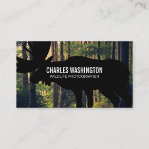 Carte De Visite Photographe de Wild Life   Extérieur
