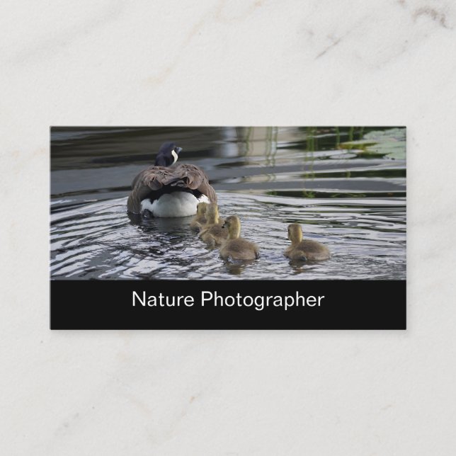 Carte De Visite Photographe professionnel de nature et de faune (Devant)