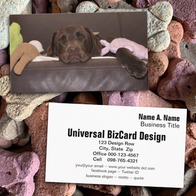 Carte De Visite Photographie de l'extracteur du chocolat Labrador (Créateur téléchargé)