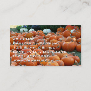 Carte De Visite Photographie de récolte d'automne des citrouilles 