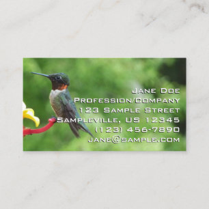 Carte De Visite Photographie d'oiseau Colibri à gorge rubis