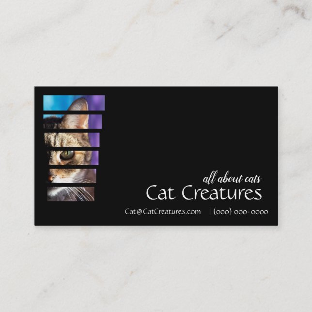 Carte De Visite Photographie Tabby Cat (Devant)