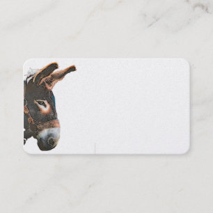 Carte De Visite Pic de Sneak