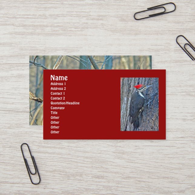Carte De Visite Pic pilé Articles coordonnés (Devant/Arrière en situation)