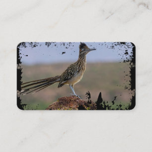 Carte De Visite Picture Nature Desert Bird Roadrunner