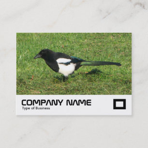 Carte De Visite Pie européen