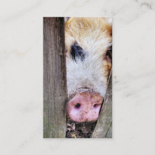 CARTE DE VISITE PIG