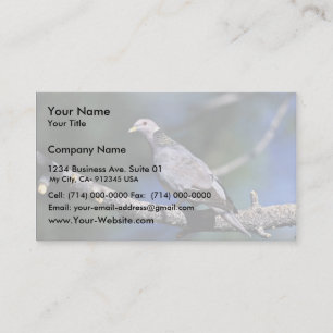 Carte De Visite pigeon Bande-coupé la queue