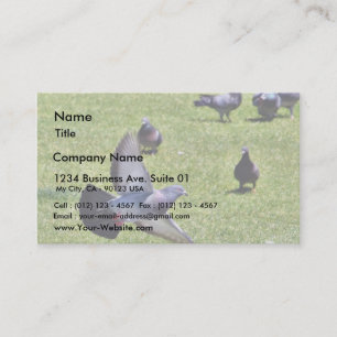 Carte De Visite Pigeon volant