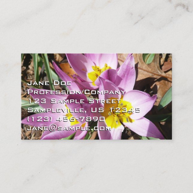 Carte De Visite Pink Crocuses Spring Floral (Devant)