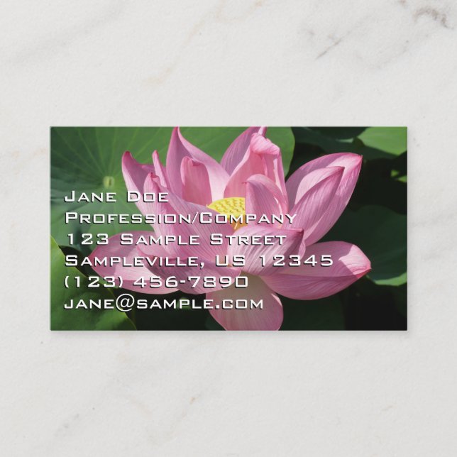 Carte De Visite Pink Lotus Flower IV (Devant)