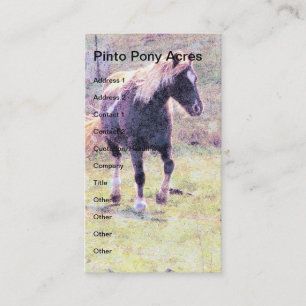Carte De Visite Pinto Pony