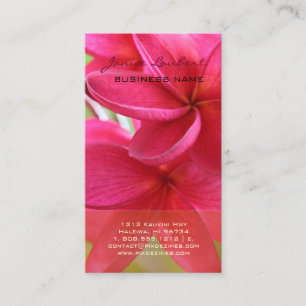 Carte De Visite PixDezines HAWAIIAN CHAUD PINK PLUMERIA