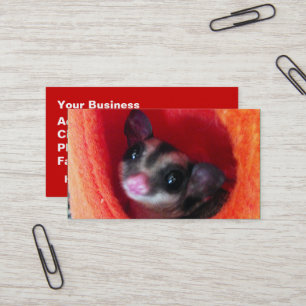 Carte De Visite Planeur à sucre en Orange Hanging Lit