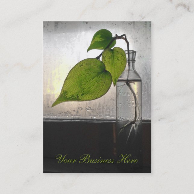 Carte De Visite Plante à racines dans une bouteille en verre clair (Devant)