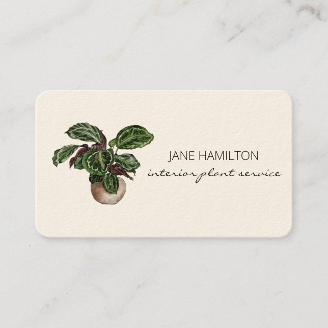 Carte De Visite Plante design d'intérieur (Devant)