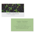 Plantes de tomates, Service de jardinage, Horticul