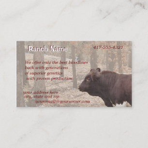 Carte De Visite PLBBizCard-personnaliser comme nécessaire