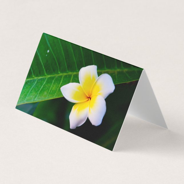 Carte De Visite Plumeria (Devant)