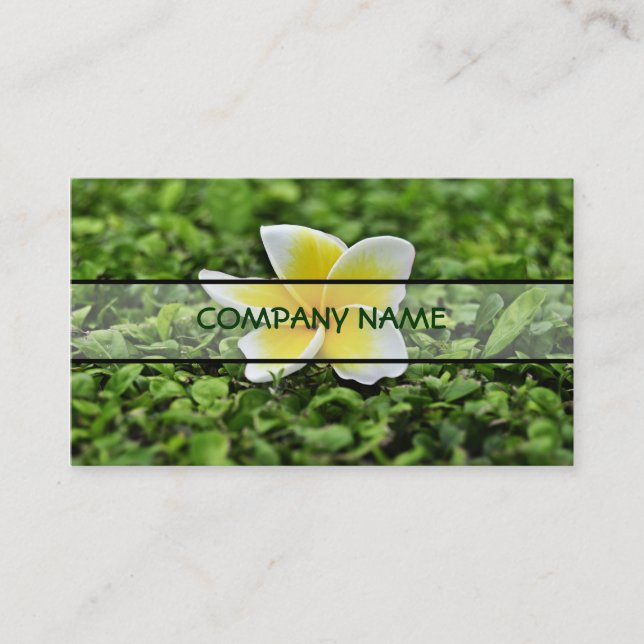 Carte De Visite Plumeria blanche 2 (Devant)