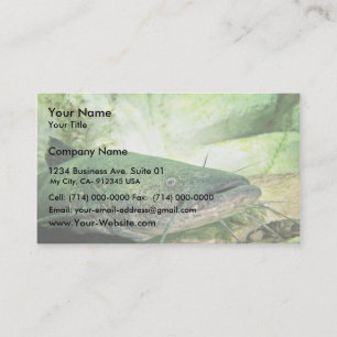 Carte De Visite Poisson-chat à tête plate