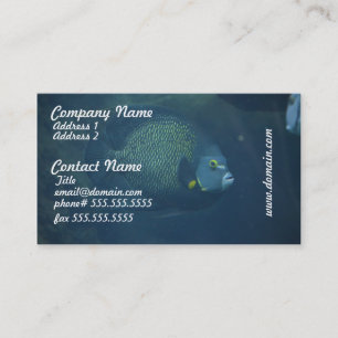 Carte De Visite Poissons bleus de Tang