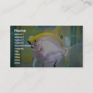 Carte De Visite Poissons jaunes et argentés dans le réservoir