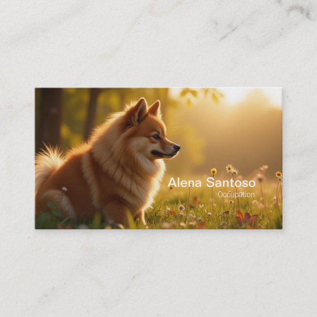 Carte De Visite Pomeranian Dog (Devant)