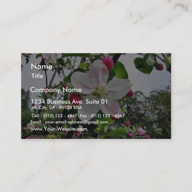 Carte De Visite Pommier Dans la fleur (Devant)